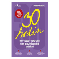 30 hodin - Dalibor Pulkert