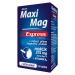 MaxiMag Express hořčík 375 mg+B6 direct 20 sáčků