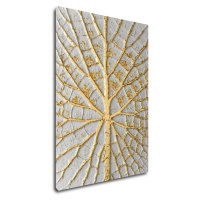 Impresi Obraz Zlatý list na bílém pozadí - 50 x 70 cm