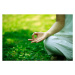 Fotografie young woman doing yoga,hand close-up, RunPhoto, 40 × 26.7 cm