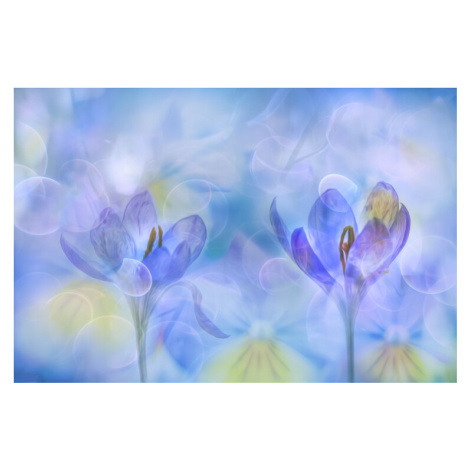 Plakát, Obraz - A duo, Hilda van der Lee, 40 × 26.7 cm