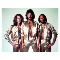 Fotografie Bee Gees, Michael Ochs Archives, 40 × 30 cm