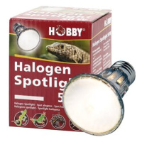 Hobby Diamond Halogen Spotlight 50 W