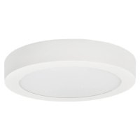 Greenlux LED Stropní svítidlo FENIX LED/18W/230V 3800K pr. 22,5 cm sněhově bílá