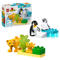 Lego® duplo® 10442 rodinky divokých zvířat: tučňáci a lvi