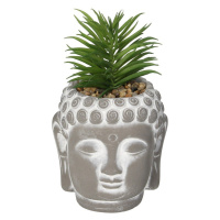 Dekoria Dekorace Succulent I Buddha 17cm, 10 x 10 x 17 cm