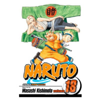 Naruto, Vol. 18: Tsunade's Choice - Masashi Kishimoto - kniha z kategorie Sci-fi, fantasy a komi