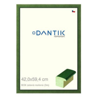 DANTIK rámeček 42 × 59,4, BOX zelený mořený plexi čiré