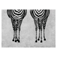 Ilustrace Sexy Zebras, Martina Pavlova, (40 x 30 cm)