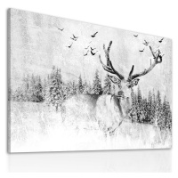 LUDESIGN GALLERY Obraz na plátně DEER IN WINTER různé rozměry Ludesign ludesign obrazy: 80x60 cm