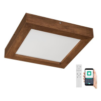 Brilagi Brilagi-LED Stmívatelné svítidlo WOODY FRAME LED/24W/230V dub 30x30 cm IP44 + DO