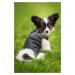 Vsepropejska Terenc obleček pro psa na zip Barva: Černá, Délka zad (cm): 45, Obvod hrudníku: 61 