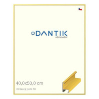 DANTIK rámeček 40 × 50, ALU profil 6030 Dýha barevný žlutý citrus plexi čiré