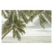 Fotografie FLORIDA Vintage Oceanview, Melanie Viola, 40 × 26.7 cm