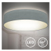 B.K. Licht B.K. Licht 1393 - LED Stropní svítidlo LED/20W/230V šedá