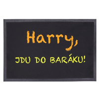 Rohožka Harry, jdu do baráku 40x60 cm 40x60 cm