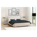 Eka Čalouněná postel ELEGANT 120x200 cm s dřevěným úložným prostorem, Trinity 2301