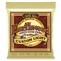Ernie Ball 2007 Earthwood 80/20 BronzeStrings Custom Light