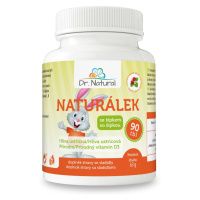 Dr. Natural Naturálek Hlíva ústřičná s vitamínem D 90 tablet