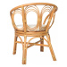 Jídelní židle přírodní ratan / plátno Dekorhome Přírodní
