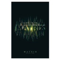 Umělecký tisk Matrix - Chyba v Matrixu, 26.7x40 cm
