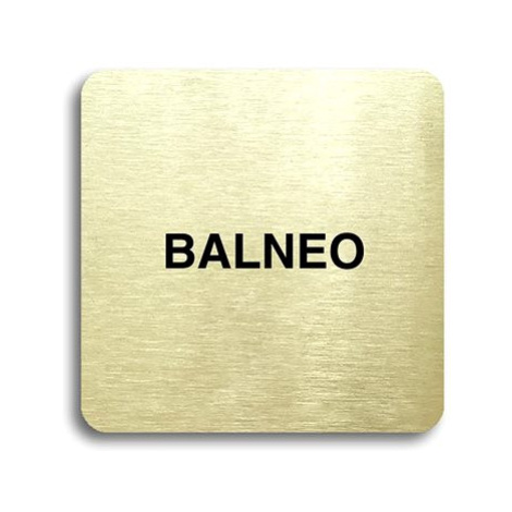 Accept Piktogram "balneo" (80 × 80 mm) (zlatá tabulka - černý tisk bez rámečku)