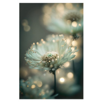 Fotografie Mint Flower, Treechild, 26.7 × 40 cm