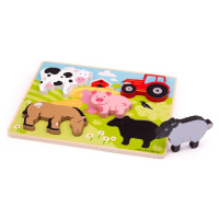 Bigjigs Toys Vkládací puzzle FARM vícebarevné