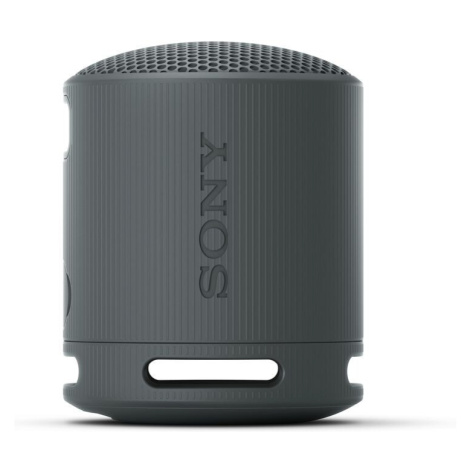 Sony SRS-XB100 Černá
