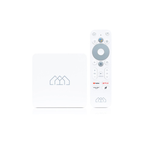 AB-COM Homatics Box R Lite 4K Android TV, HOMATICS BOX R LITE