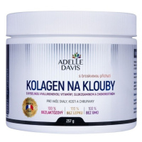 Adelle Davis Kolagen na klouby 257g