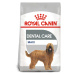 ROYAL CANIN DENTAL CARE MAXI suché krmivo pro velké psy s citlivými zuby 9 kg