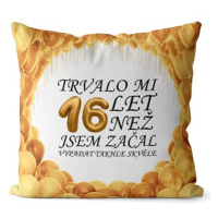 Impar polštář Trvalo mi 16 let