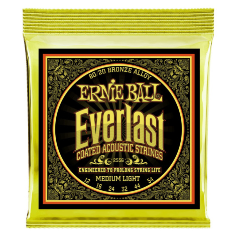 Ernie Ball Everlast 80/20 Bronze Medium Light