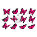 "Motýli fuchsia 12ks" - A4