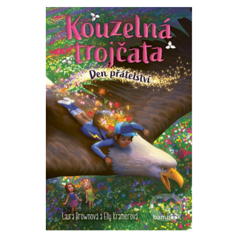 Kouzelná trojčata – Den přátelství - Laura Brown, Elly Kramer - kniha z kategorie Pre deti a mlá bambook