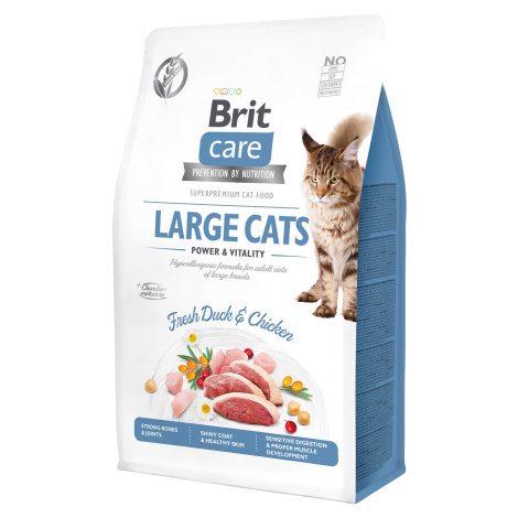 Brit Care Cat GF Large cats Power&Vitality 0,4kg