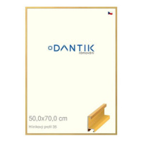 DANTIK rámeček 50 × 70, ALU profil 6035 Dýha barevný žlutý plexi čiré