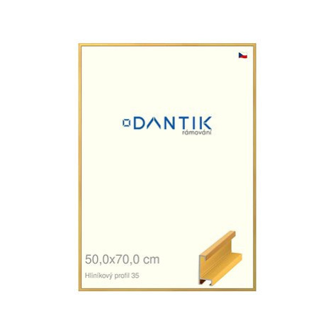 DANTIK rámeček 50 × 70, ALU profil 6035 Dýha barevný žlutý plexi čiré