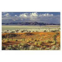 Umělecká fotografie Tok Tokkie Desert, Marc Pelissier, (40 x 26.7 cm)