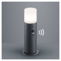 Trio Lighting Venkovní svítidlo Hoosic, antracit, senzor