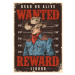 Ilustrace Wanted bandit vintage poster colorful, IMOGI, 30 × 40 cm