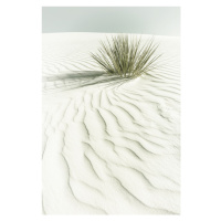 Fotografie WHITE SANDS Vintage scenery, Melanie Viola, 26.7 × 40 cm