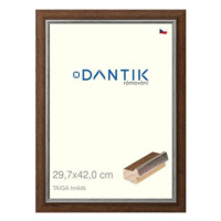 DANTIK rámeček 29,7 × 42, TAIGA hnědý plexi čiré