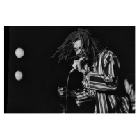 Fotografie Peter Tosh in concert/Roma, 1980, 40 × 26.7 cm