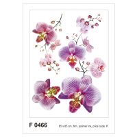 F 0466 AG Design Samolepicí dekorace - samolepka na zeď - Blossom pink, velikost 65 cm x 85 cm