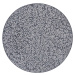 Antracitový kulatý koberec ø 120 cm Twig – Hanse Home
