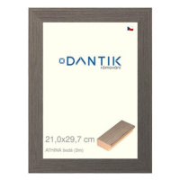 DANTIK rámeček 21 × 29,7, ATHINA šedý sklo čiré