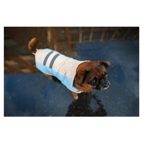 Vsepropejska Roy reflexní pláštěnka pro psa Barva: Modrá, Délka zad (cm): 42, Obvod hrudníku: 54