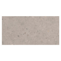 Dlažba Pastorelli Biophilic grey 60x120 cm mat P009415